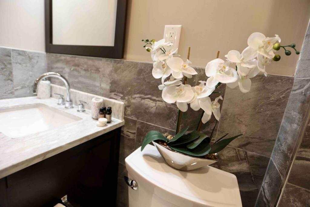 504 Luxe 1Bdr Apt In Center City 费城 外观 照片